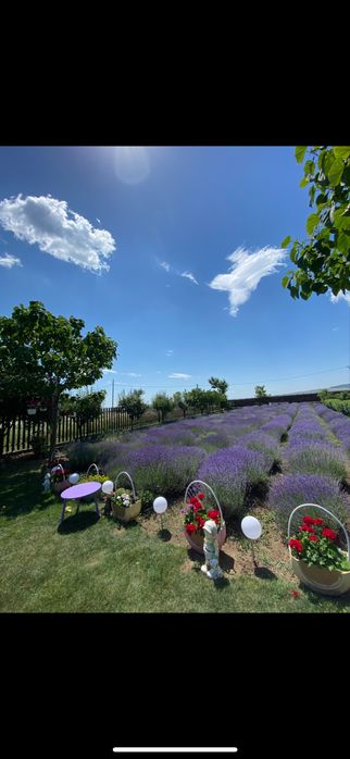 Locuință la curte, complet mobilată și utilata