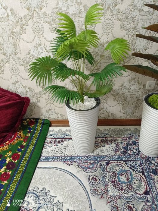 Suniy gullar, Uyingiz uchun dekor gullar sotiladi