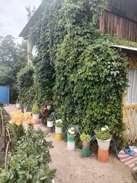 Продам дачу по Мамлютской трассе