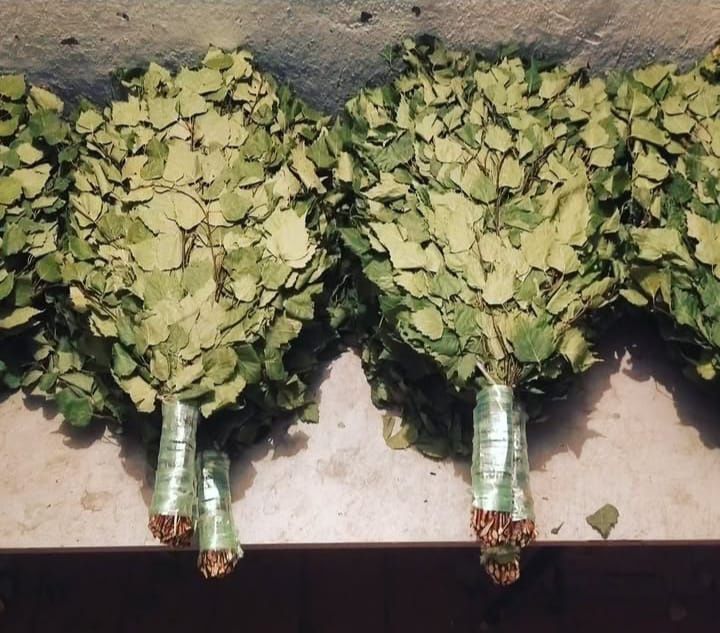 Берёзовые банные  веники