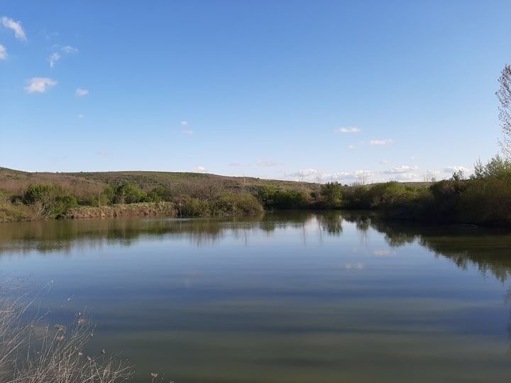 Продава се Парцел в Мизия - 21000 кв.м за 7 €/кв.м - Снимка #15