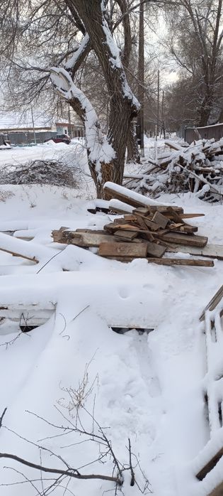 Отдам даром дрова