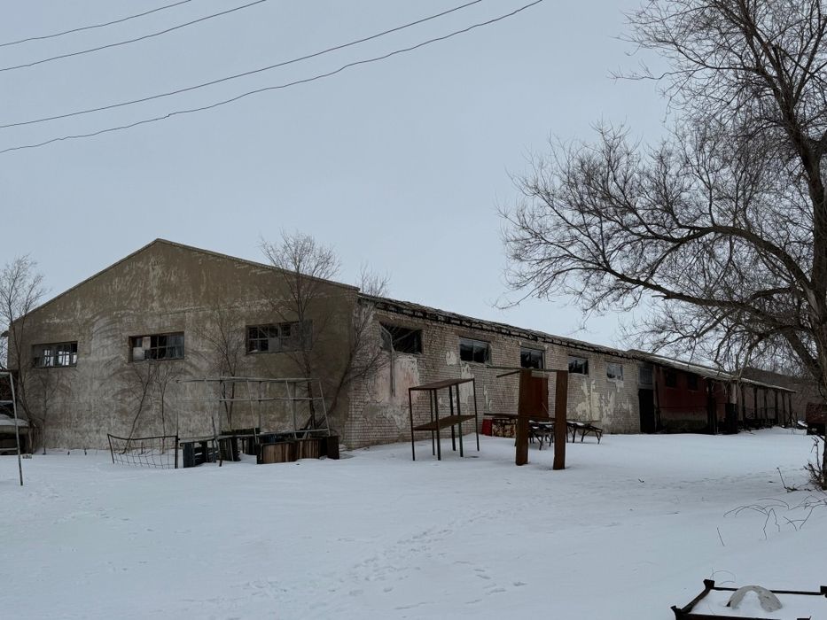 Продам крестьянское хозяйство