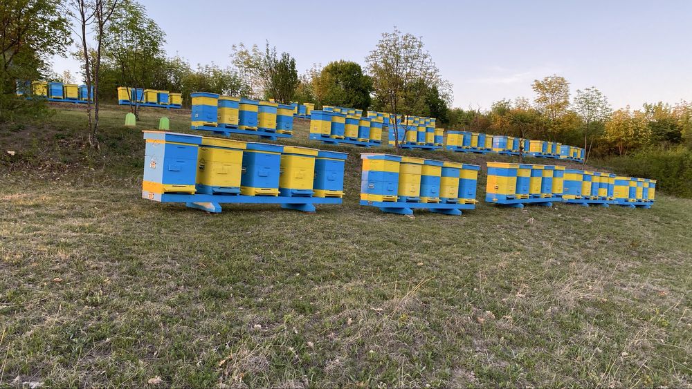 Пчеларски платформи с колесар