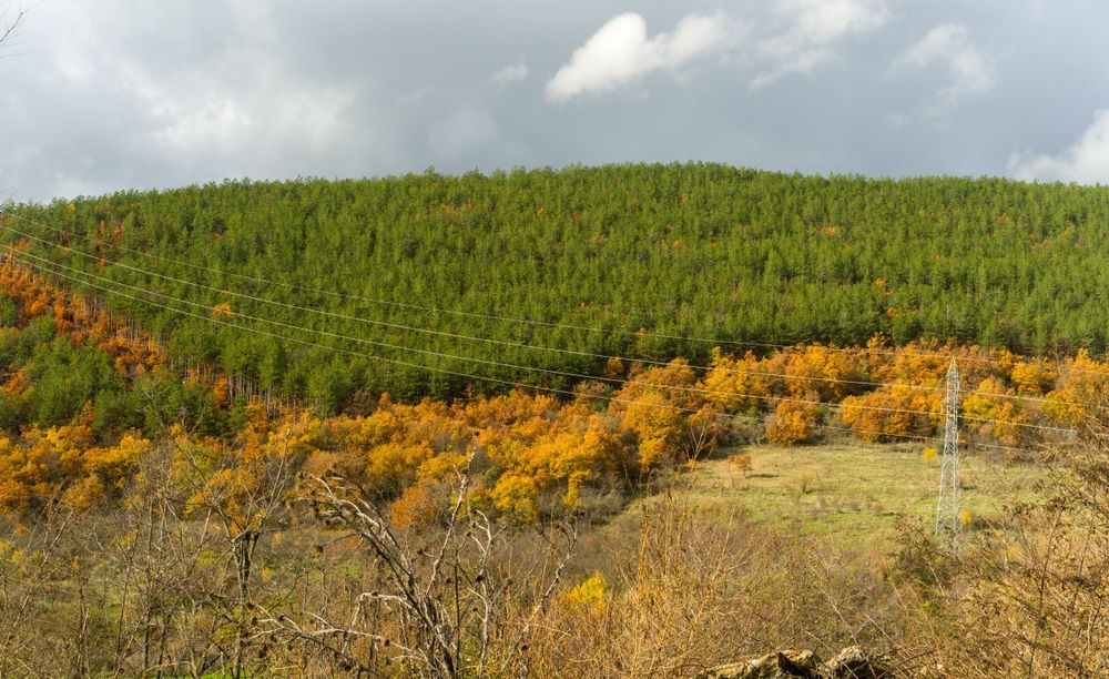 АF обектив Ulanzi F2.8, 27mm за Sony E