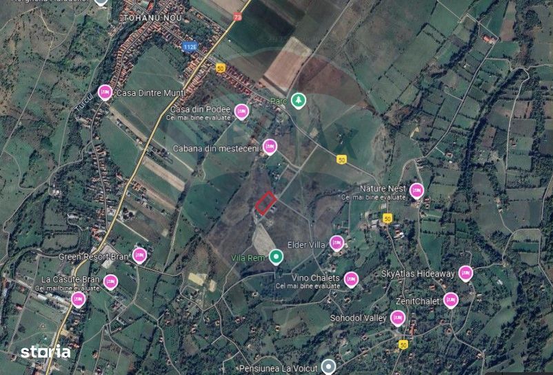 Teren Tohanu Nou, intrare Sohodol, 4800mp