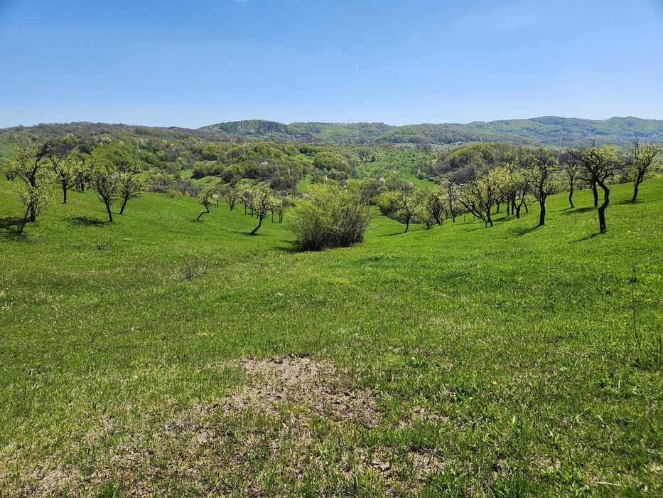 Vand teren 16000 mp intravilan/extravilan in zona Valenii de Munte jud. Prahova