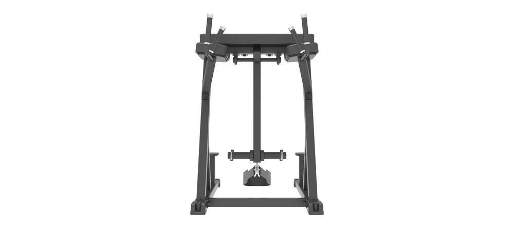 Impulse IFP1619
Обратная гиперэкстензия