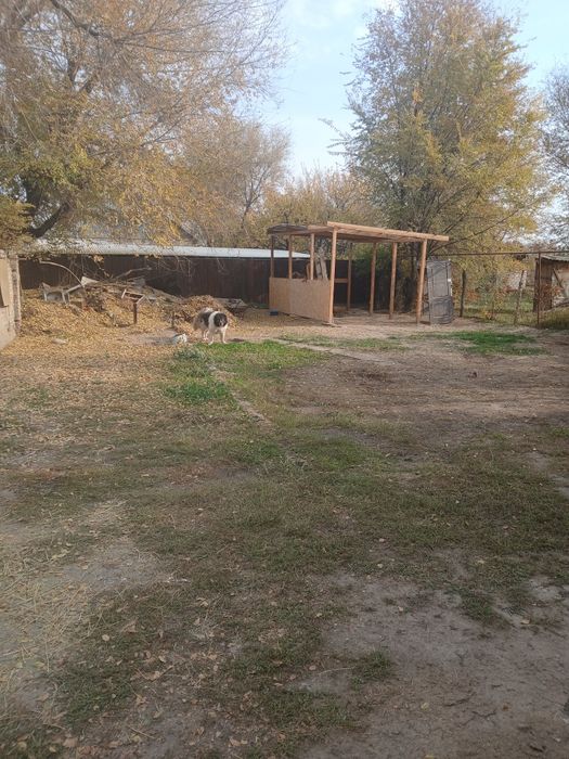 Срочно Торг  Продам Дом