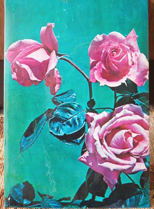 Картины сувенирные. СССР. Новые. Доставка.