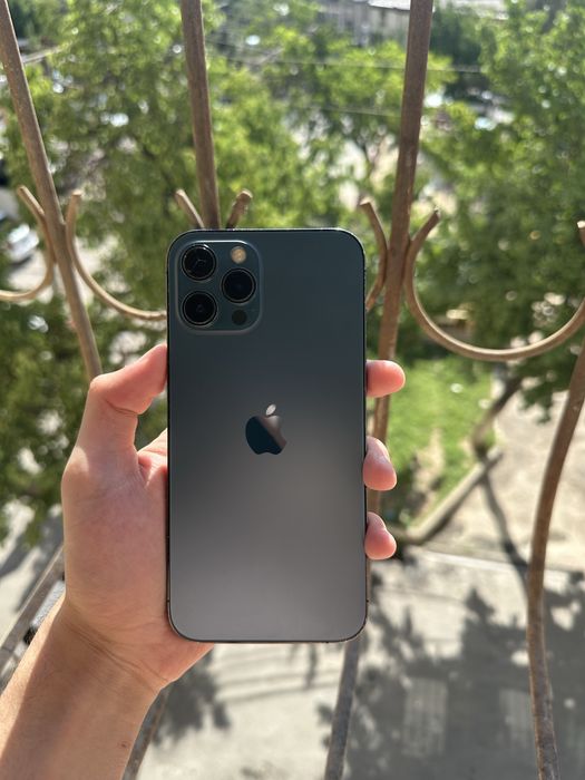 iPhone 12 pro max