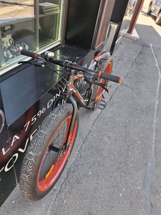 Bicicleta Phoenix