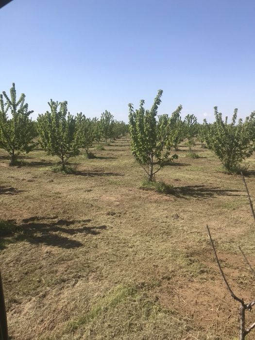 Земеделски услуги