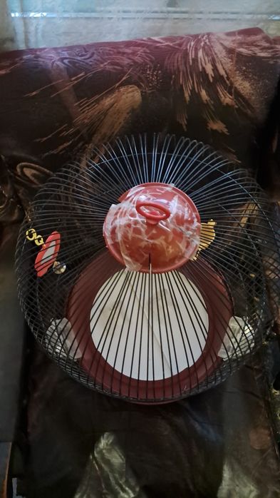 Клетка за папагал