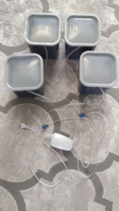 Проращиватель семян, микрозелень