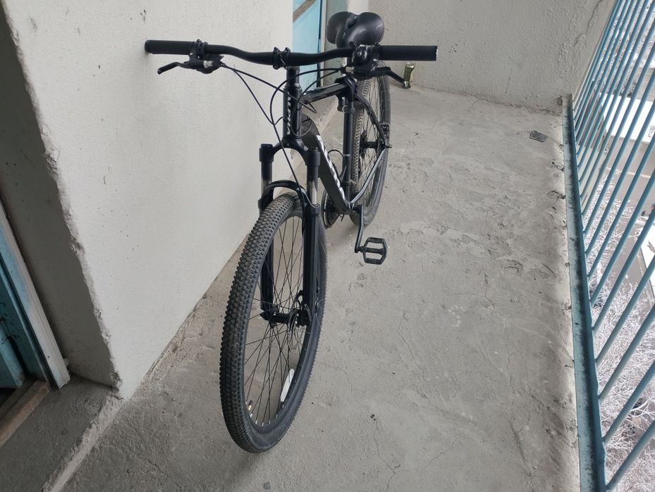 Mustang Alfa md велик