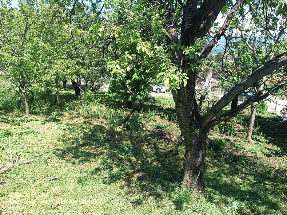 Имот в в.Паволче 600м2 в регулация до главен път ,цена 42000€