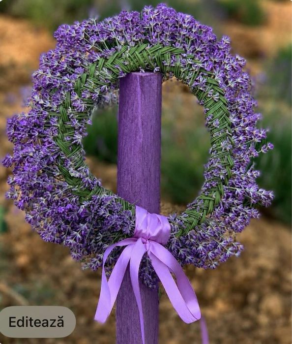 Coronite sfarsit de an scolar!