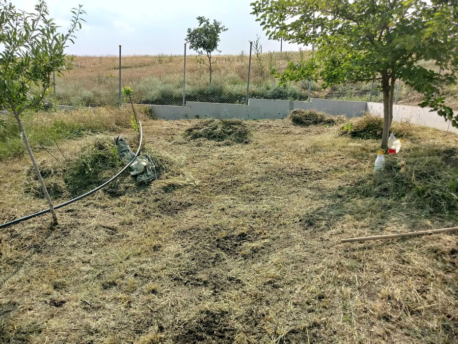 Почистване на дворове и обрасли терени в Бургаска област
