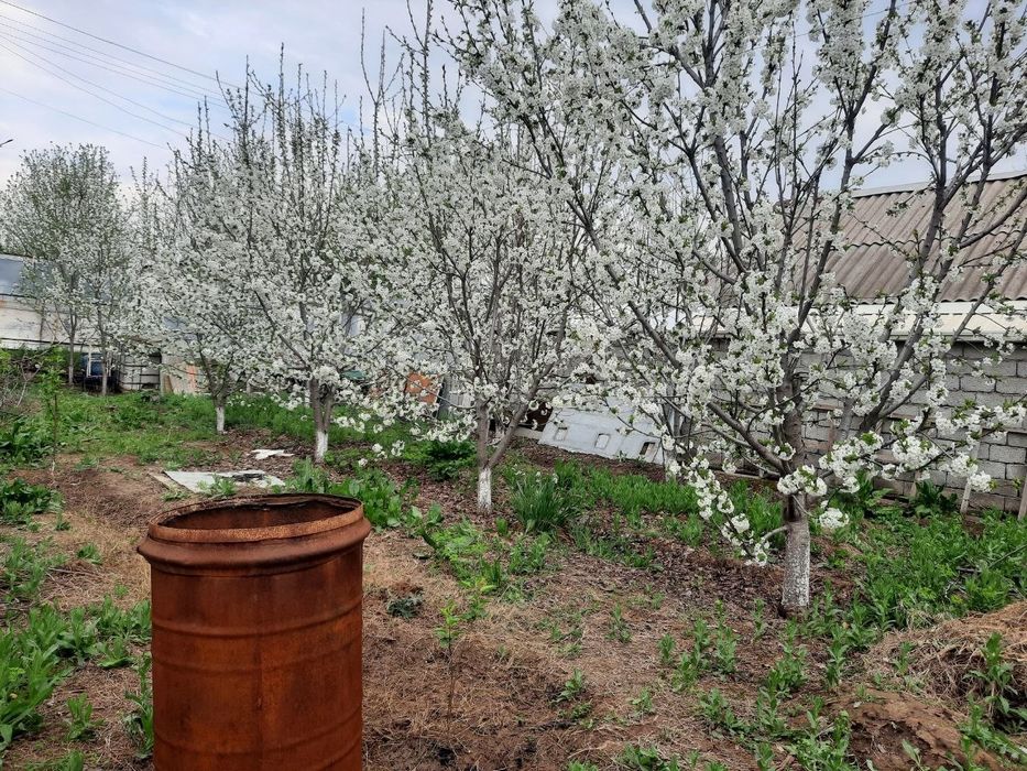 Продаётся дача. Адрес Город Паркент, навбохор