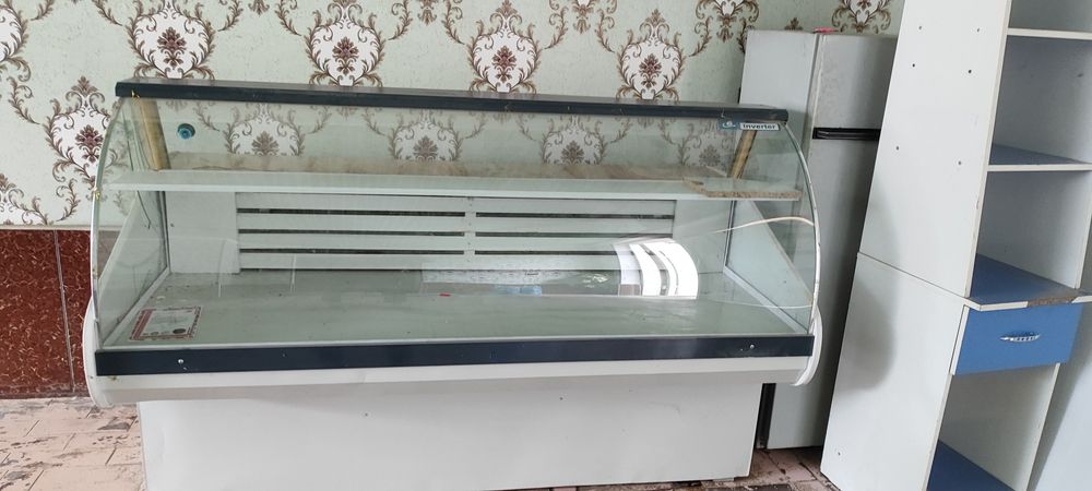 Холодинтк ветиригая