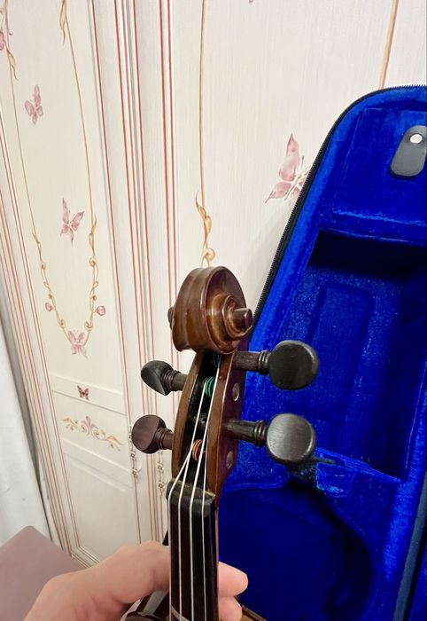 Скрипка 1/8 Stentor Student