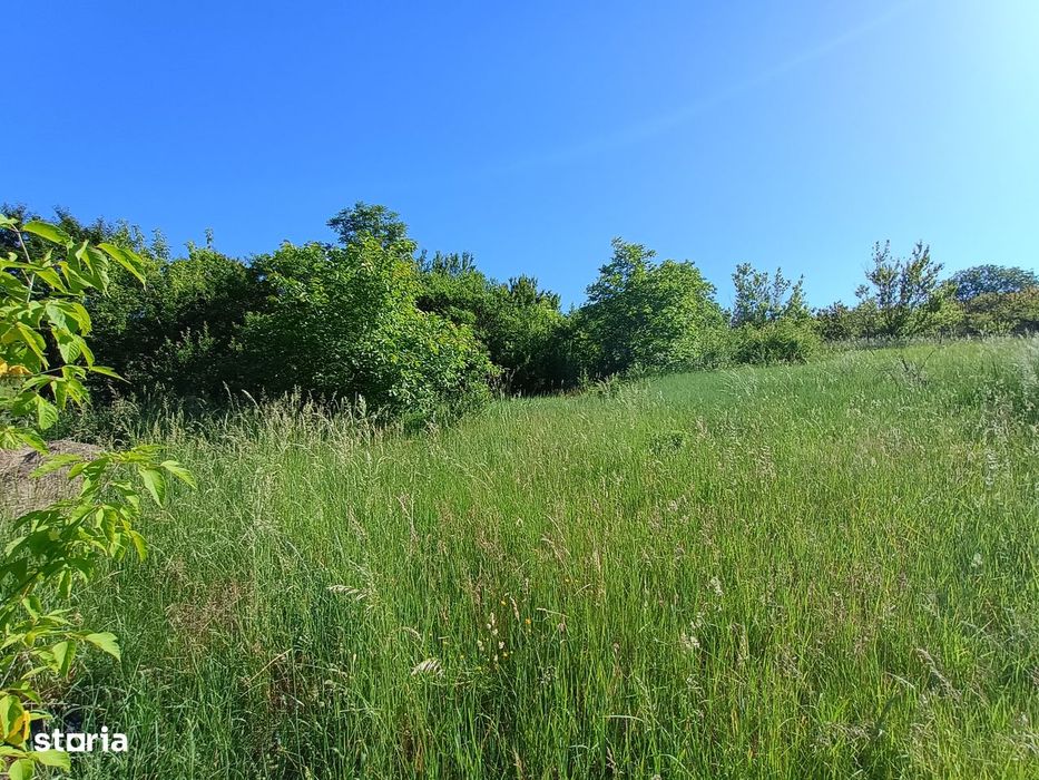 Vila din Gradina Racoți / Conac 5 camere / 6000m2