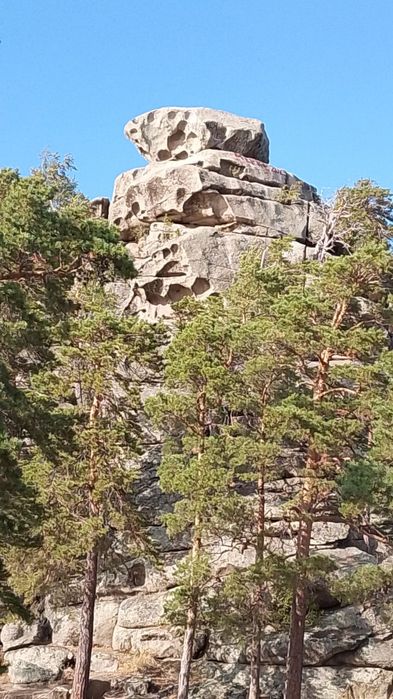 Жер участок делимый  сатылады