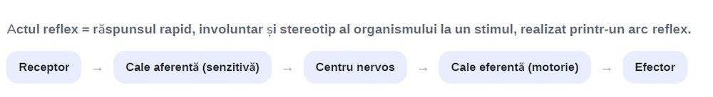 Manual Teorie BAC biologie  breviar pe scurt