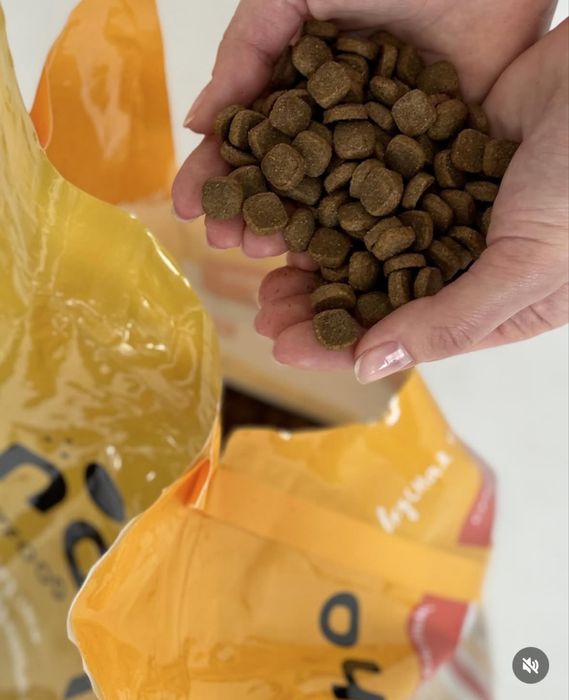 PANCHO корм для собак