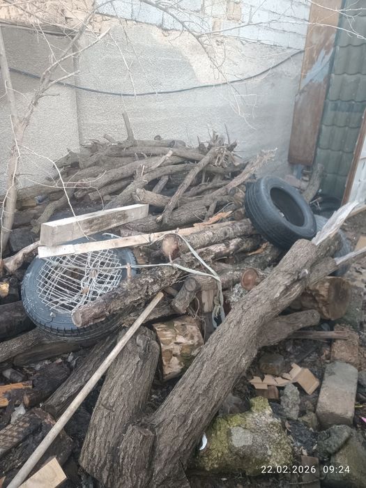 Отын дрова өрік және басқа да