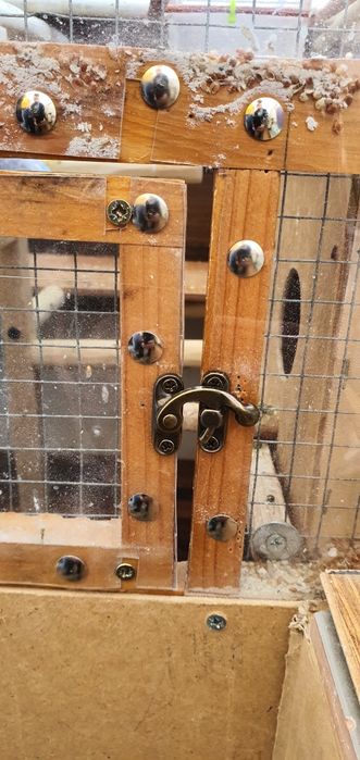 Vând Volieră și 7 Peruși