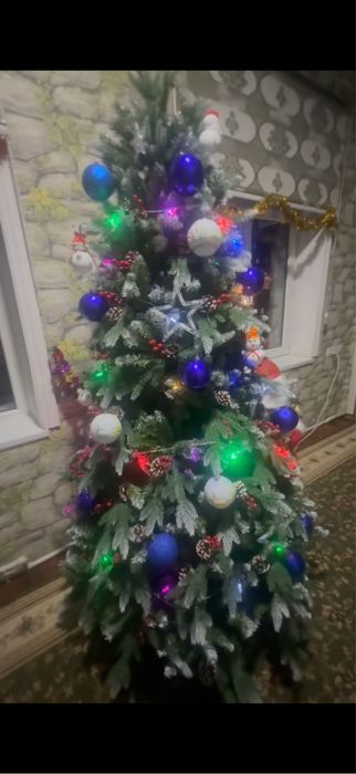 Archa + qorbobo, oyincholari bilan. 2 yil bolgan olinganiga.