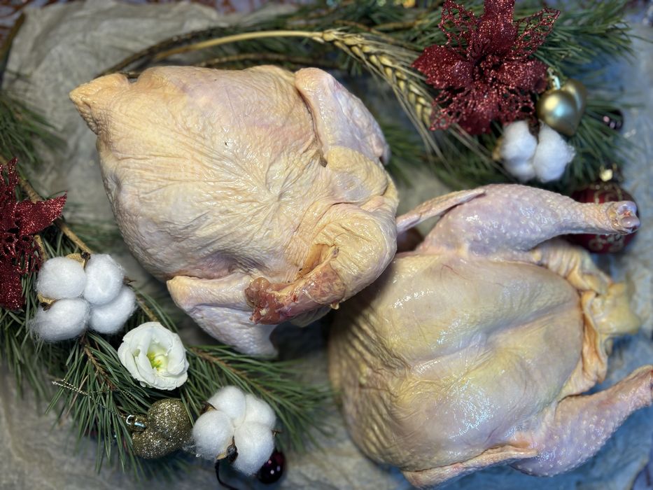 Фермерская курица