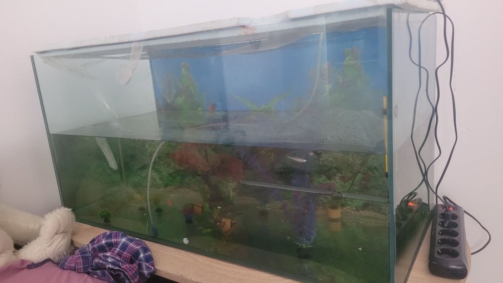 Acvariu pești 1m/50