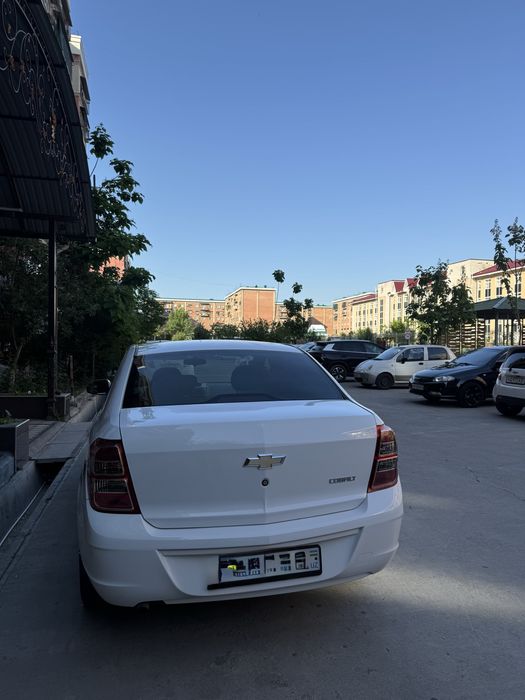 Other Cobalt 2019 — 4