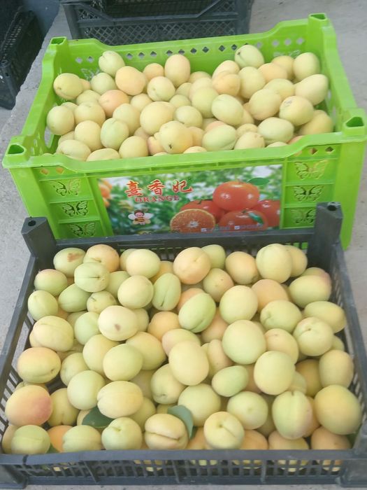 Продаётся урюк сушёный