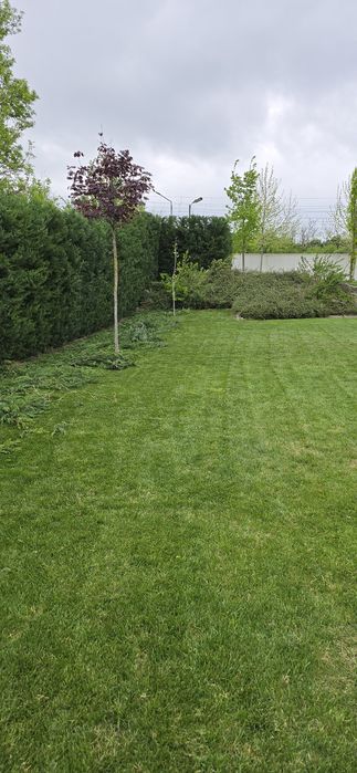 Tuns iarba/gazon, Intretinere spatii verzi, Sistem de irigatii