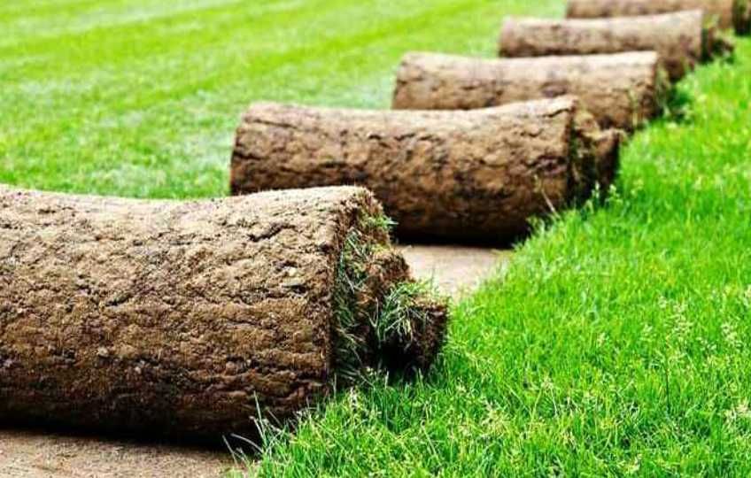 Gazon rulou Insamantare si sisteme de irigatii