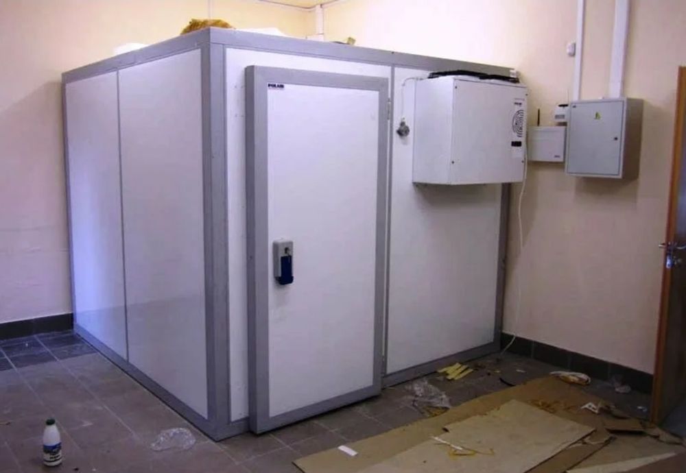 Холодильная камера, морозильная камера. Холодильник, морозильник