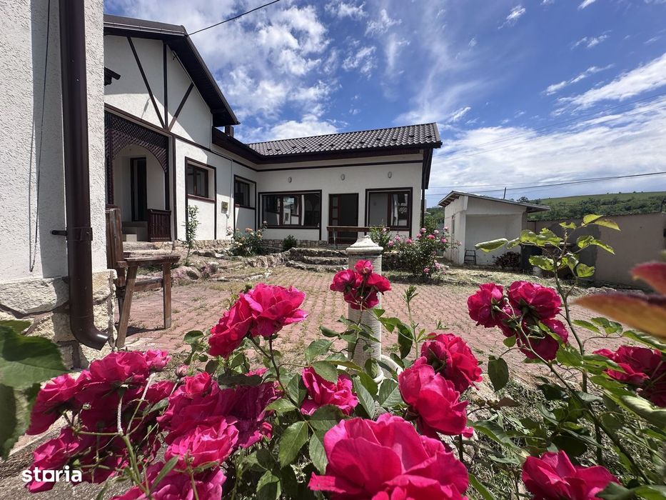 Între dealuri, viță de vie și liniște deplină! Vanzare casa in Prahova