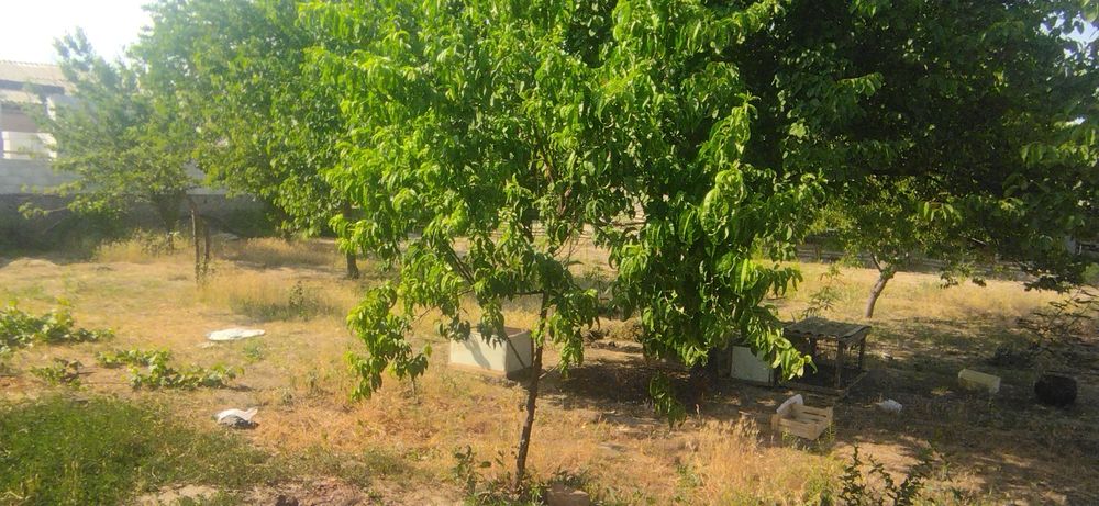 Yer sotilladi 5 sotix 2 sotixini xam soturaman