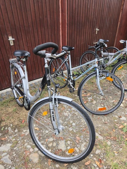 Biciclete de 26-28