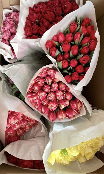 Тюльпаны оптом и в розницу