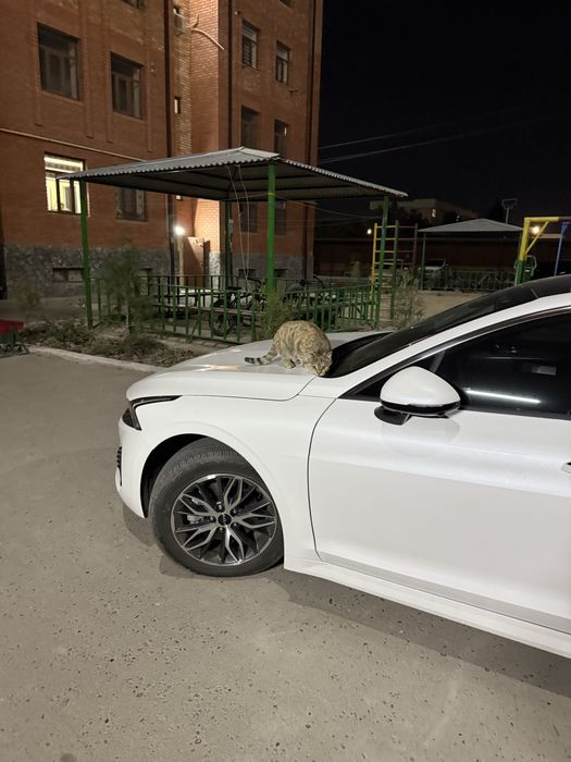 KIA K5 Style + 2.5 атмосферный мотор