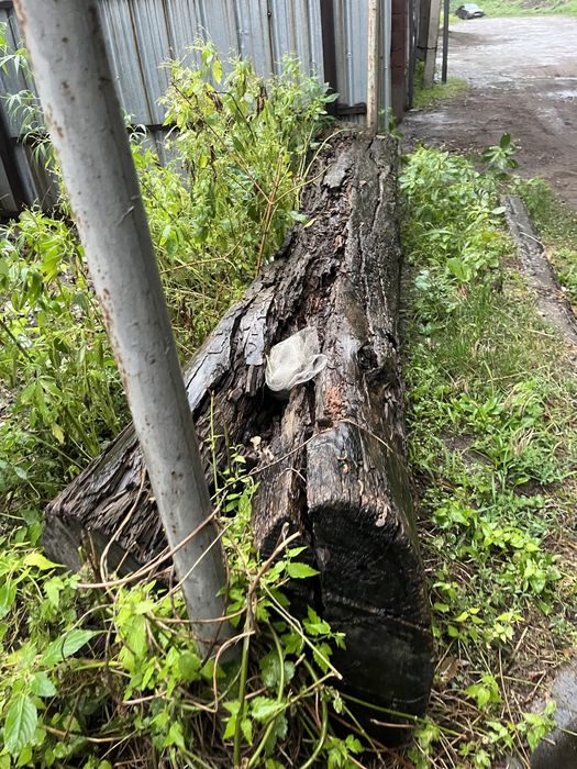 Дрова бесплатно, самовывоз