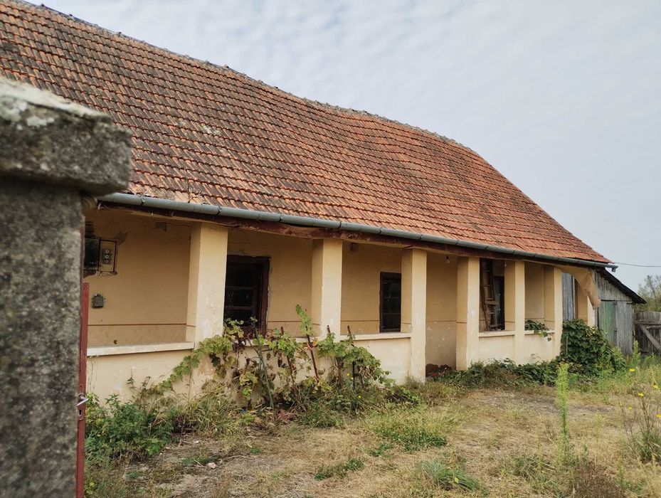 Casa veche din 1955 si teren intravilan 6153 mp,Localitate Sinersig,Jud Timis