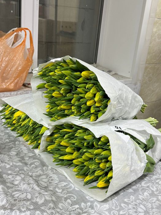 Крупные тюльпаны от 450тг