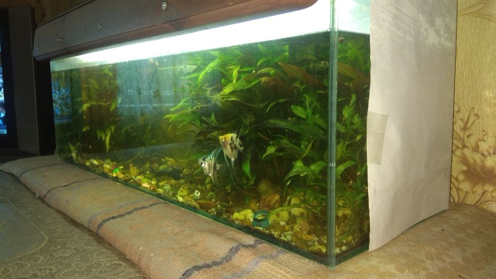 Аквариум на 60литров
