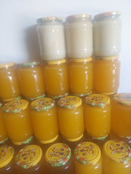 Miere floarea soarelui si rapita